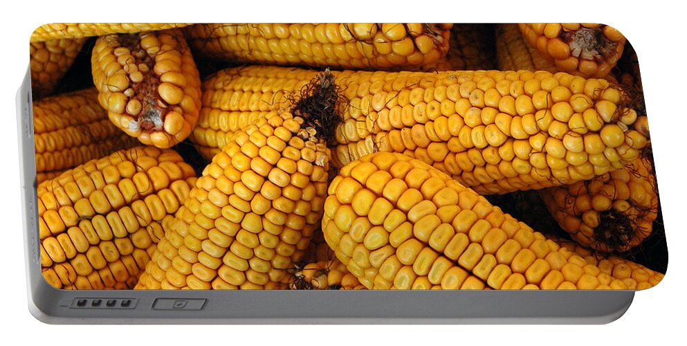 Usa Portable Battery Charger featuring the photograph Dried Corn cobs by LeeAnn McLaneGoetz McLaneGoetzStudioLLCcom
