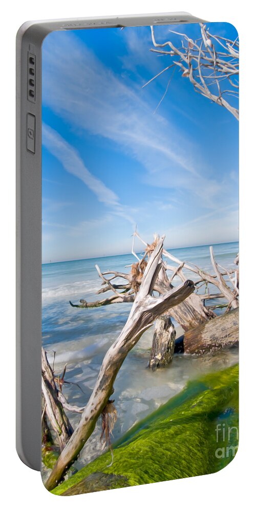 Driftwood Portable Battery Charger featuring the photograph Driftwood C141354 by Rolf Bertram
