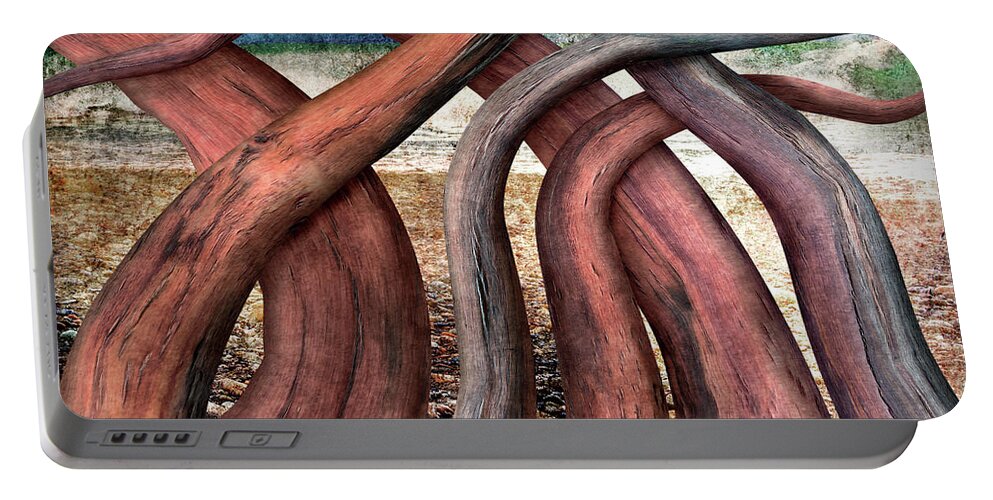 Driftwood Portable Battery Charger featuring the digital art Driftwood by Ken Taylor
