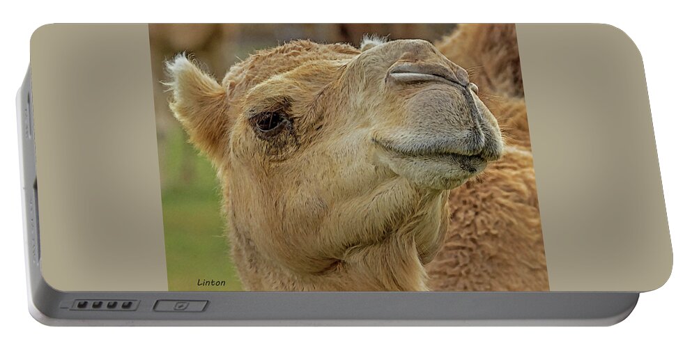 Dromedary Camel Portable Battery Charger featuring the digital art Dromedary or Arabian Camel by Larry Linton