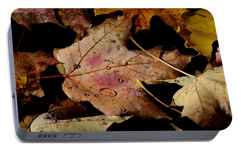 Droplet Portable Battery Charger featuring the photograph Droplets on fallen leaves by Doris Potter