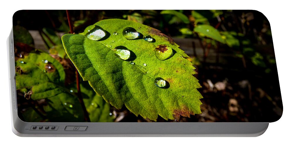 Leaf Portable Battery Charger featuring the photograph Dropplets by Thomas Nay