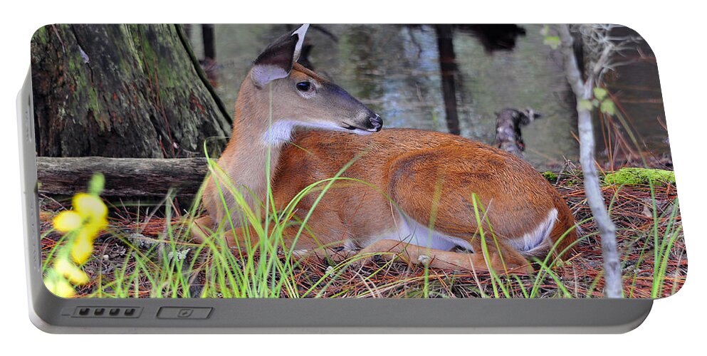 Deer Portable Battery Charger featuring the photograph Drowsy Deer by Al Powell Photography USA