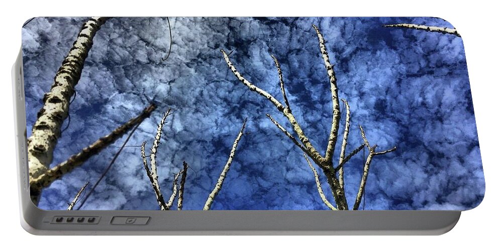 Landscape Portable Battery Charger featuring the photograph Dry Tree Is A Masterpiece by Liz Grindstaff