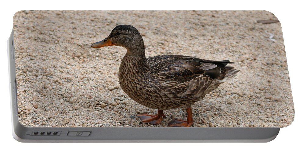 Duck Portable Battery Charger featuring the photograph Duck 2 by Christy Pooschke