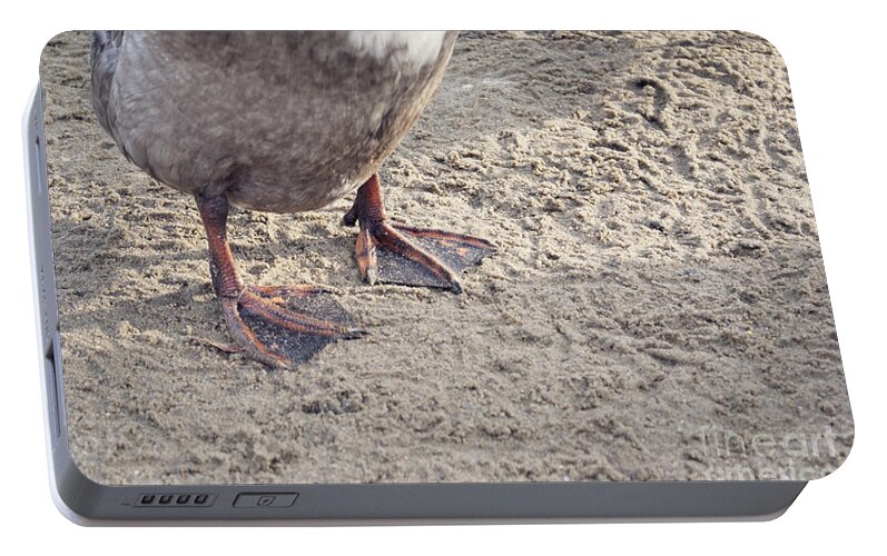 Duck Out Of Water Portable Battery Charger featuring the photograph Duck feet in the sand by Cindy Garber Iverson