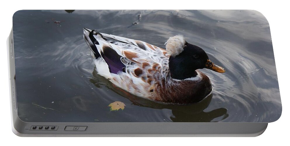 Duck Portable Battery Charger featuring the photograph Duck by Julia Woodman