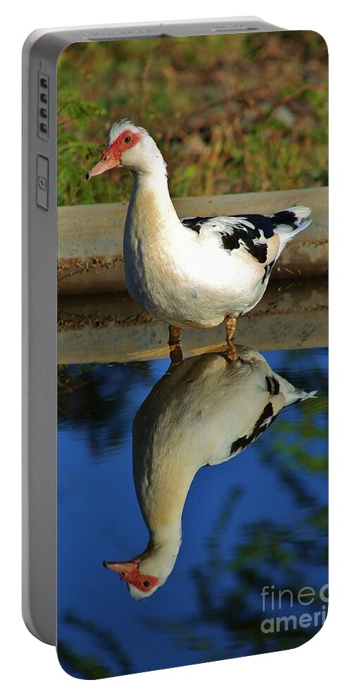 Duck Portable Battery Charger featuring the photograph Duck Twice by Craig Wood