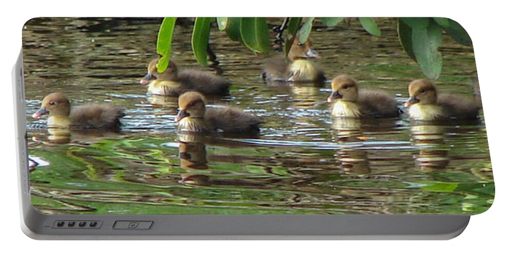 Duck Portable Battery Charger featuring the photograph Ducklings by Carl Moore