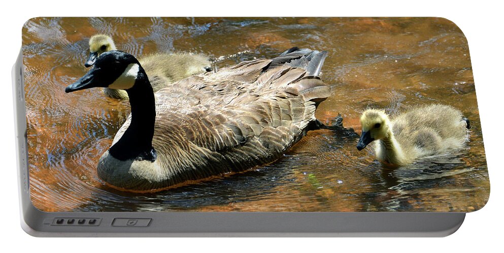 Ducks Portable Battery Charger featuring the photograph Duck family by David Lee Thompson