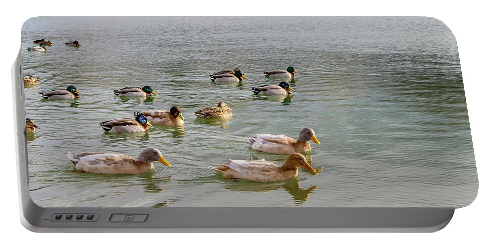 Winter Portable Battery Charger featuring the photograph Ducks in Winter by K Bradley Washburn