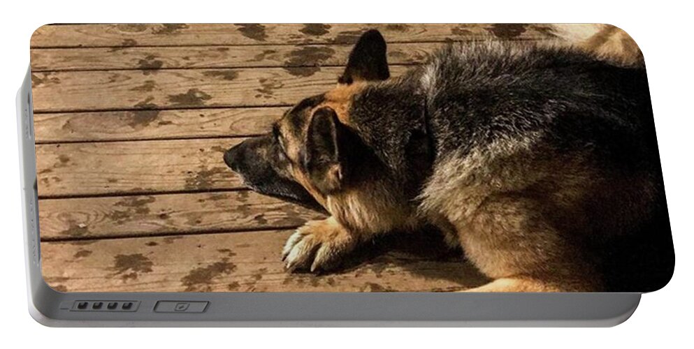 Petsofinstagram Portable Battery Charger featuring the photograph Duke The #gsd My #dog #petsofinstagram by Jerry Renville
