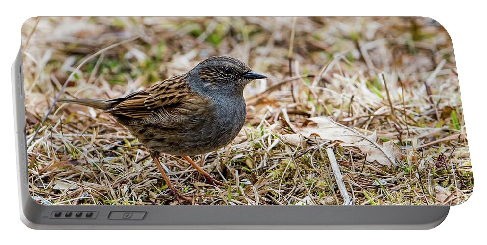 Dunnock Portable Battery Charger featuring the photograph Dunnock by Torbjorn Swenelius