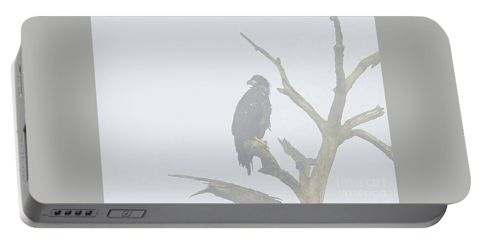 Bald Eagle Portable Battery Charger featuring the photograph E9 and fog by Liz Grindstaff
