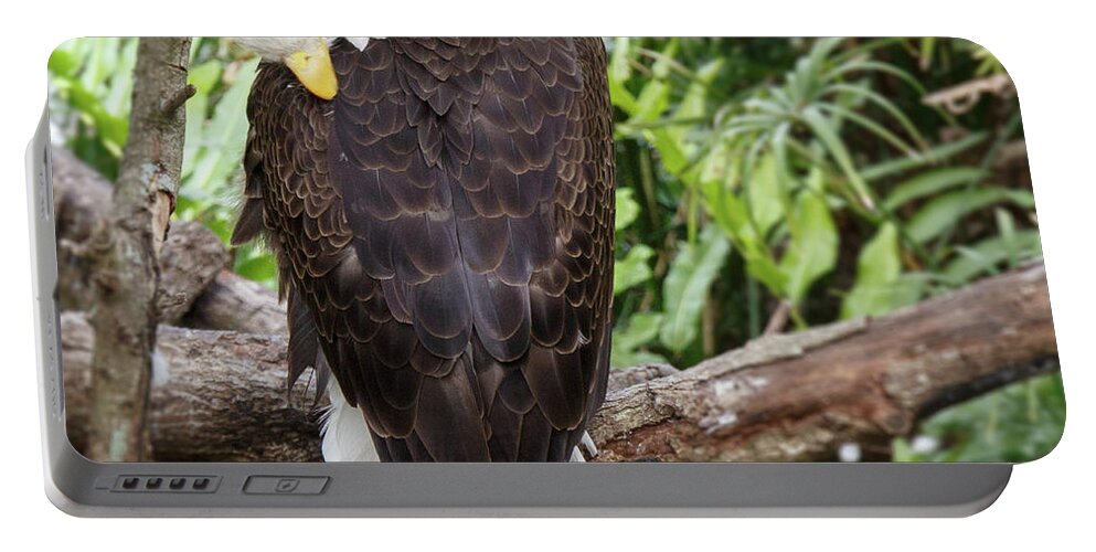 Eagle Portable Battery Charger featuring the photograph Eagle Back by Les Greenwood