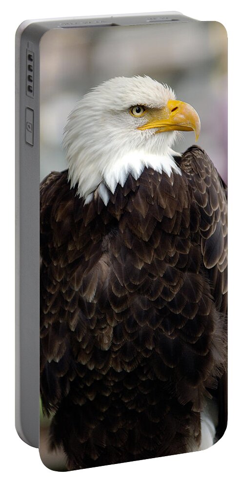 Eagle Portable Battery Charger featuring the photograph Eagle by Doug Gibbons