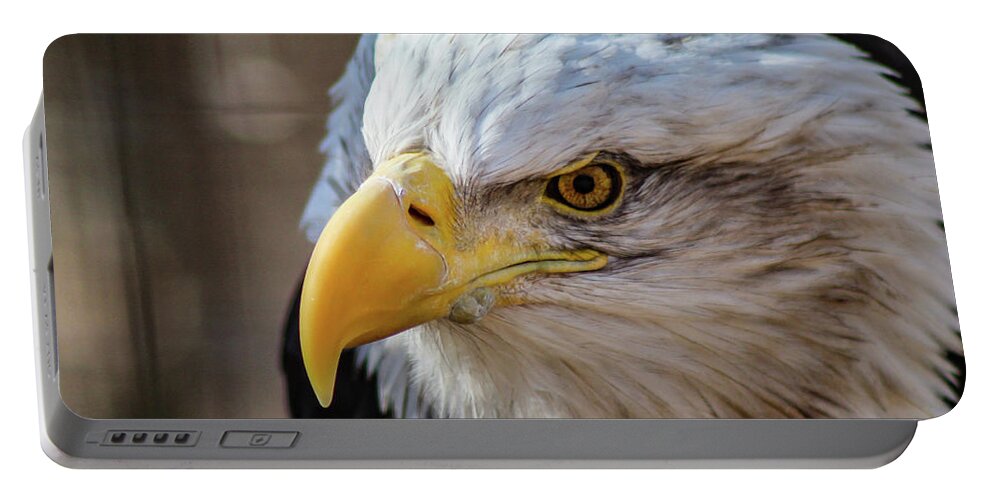 Bald Eagle Portable Battery Charger featuring the photograph Eagle Eye by Holly Ross