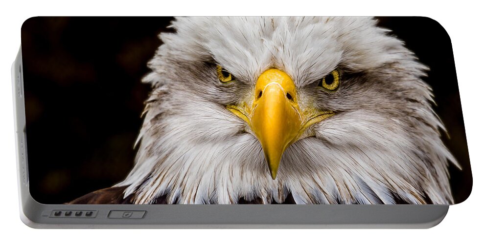 Animals Portable Battery Charger featuring the photograph Defiant and Resolute - Bald Eagle by Rikk Flohr