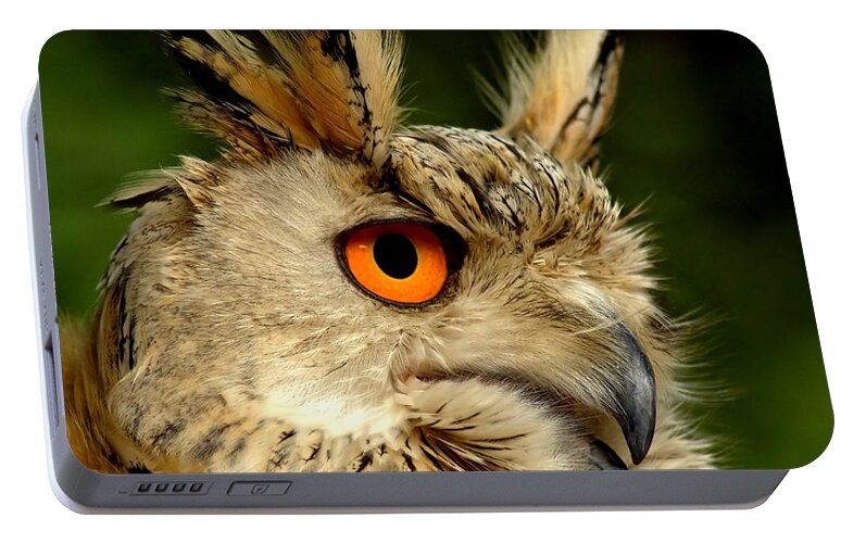 Wildlife Portable Battery Charger featuring the photograph Eagle Owl by Jacky Gerritsen