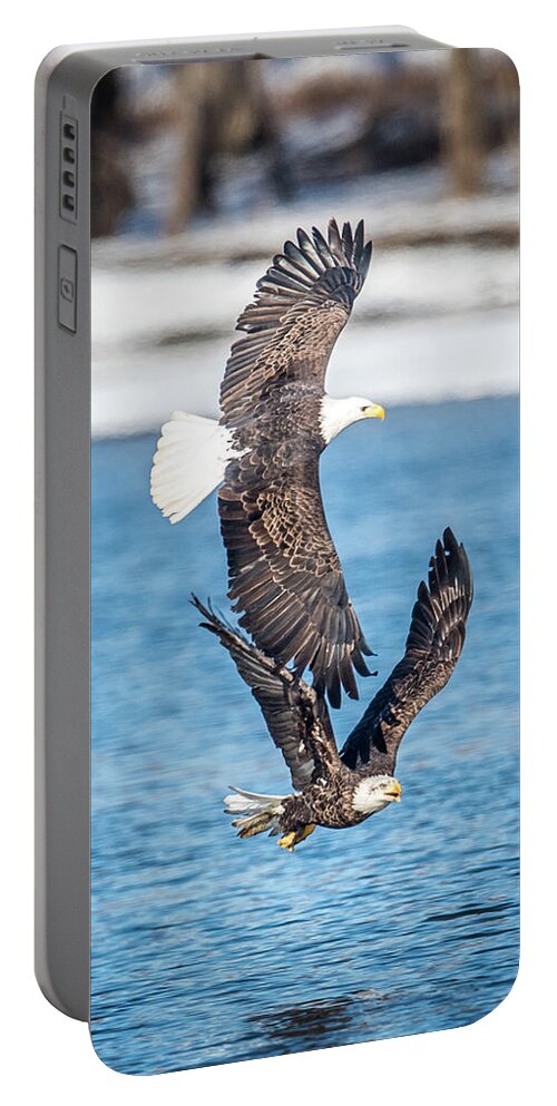 A Pair Of Bald Eagles On The Mississippi River Minnesota. Portable Battery Charger featuring the photograph Eagle Pair by Paul Freidlund