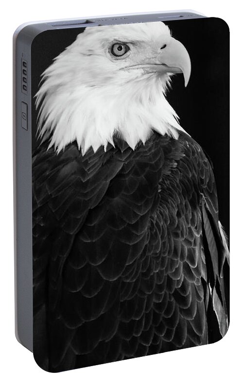  Portable Battery Charger featuring the photograph Eagle Portrait Special by Coby Cooper