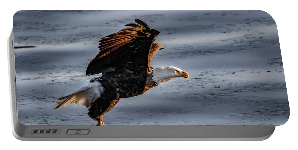 Evening Prayer Portable Battery Charger featuring the photograph Eagle Vesper by Ray Congrove