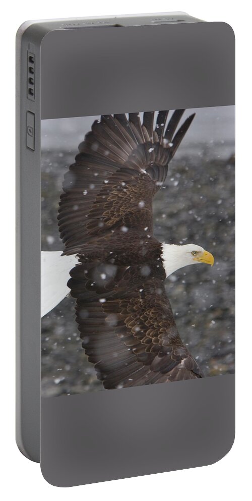 Eagle Portable Battery Charger featuring the photograph Eagle Wings by Mark Miller