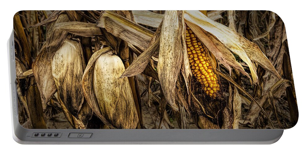 Corn Portable Battery Charger featuring the photograph Ear of Corn on the Stalk before the Harvest by Randall Nyhof