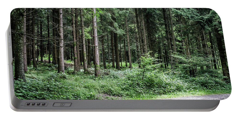 Michelle Meenawong Portable Battery Charger featuring the photograph Early Morning In The Woods by Michelle Meenawong
