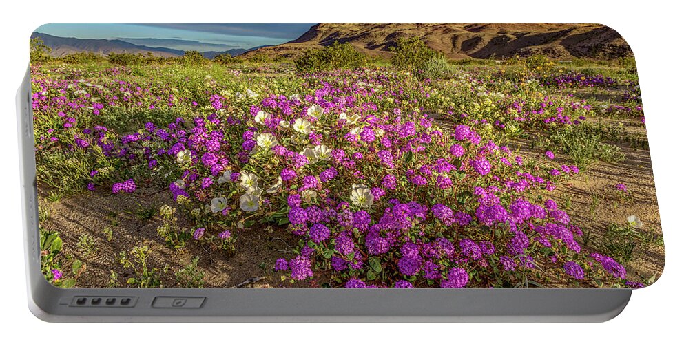 Anza-borrego Desert Portable Battery Charger featuring the photograph Early Morning Light Super Bloom by Peter Tellone