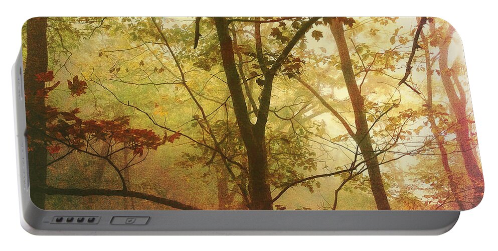 Early Morning Mist Portable Battery Charger featuring the photograph Early Morning Mist by Bellesouth Studio