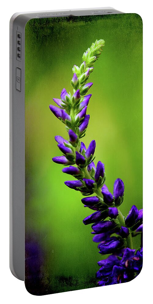 Wildflower Portable Battery Charger featuring the photograph Early Spring Vision by Mike Eingle