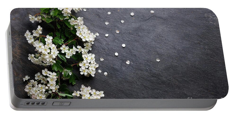 Spring Portable Battery Charger featuring the photograph Early summer white flower blossoms by Nicholas Burningham
