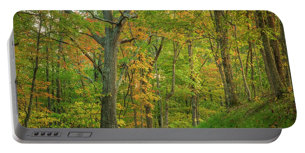 Forest Portable Battery Charger featuring the photograph Early Sun by David Waldrop
