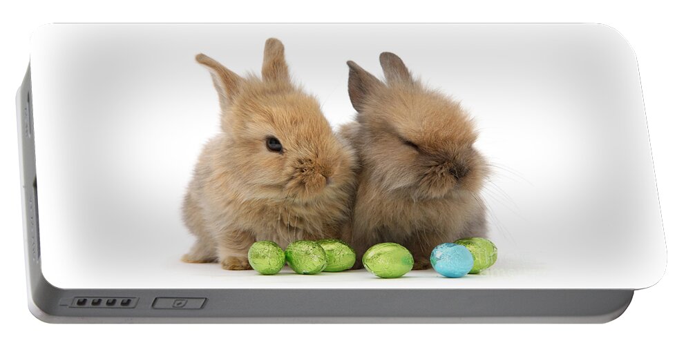 Two Portable Battery Charger featuring the photograph Easter Bunny Pair by Warren Photographic