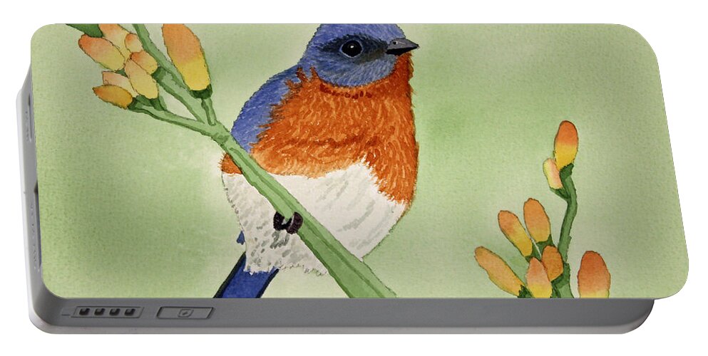 Bluebird Portable Battery Charger featuring the painting Eastern Bluebird by Norma Appleton