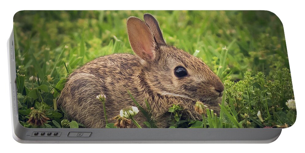 Bunny Portable Battery Charger featuring the photograph Eastern Cottontail by Cynthia Wolfe