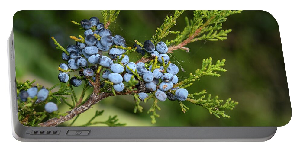 Eastern Redcedar Portable Battery Charger featuring the photograph Eastern Redcedar Berries by David Drew