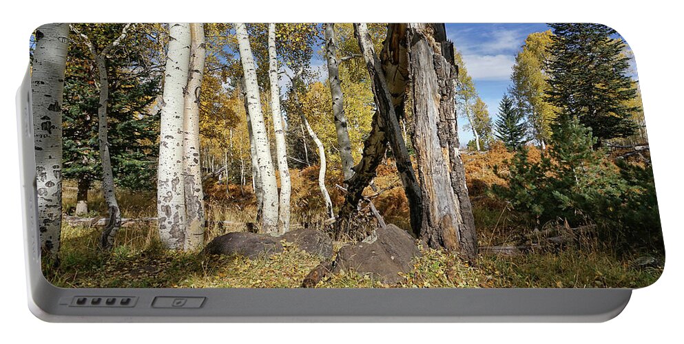 Aspen Trees Portable Battery Charger featuring the photograph Edge of the Woods by Leda Robertson