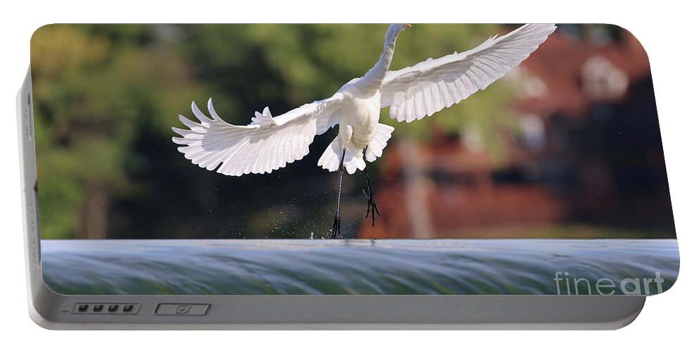 Egrets Portable Battery Charger featuring the photograph Egret 3656 by Jack Schultz