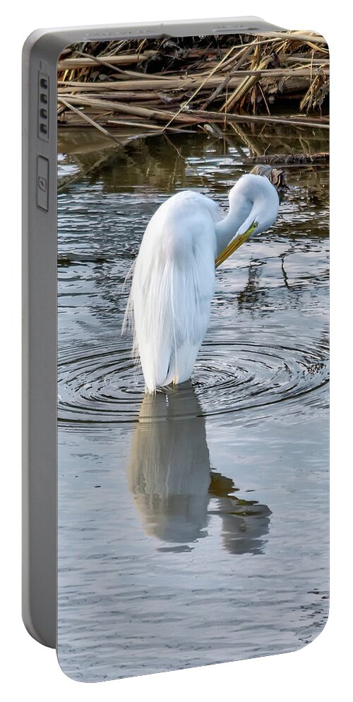 Egret Portable Battery Charger featuring the photograph Egret Standing in a Stream Preening by Anthony Murphy