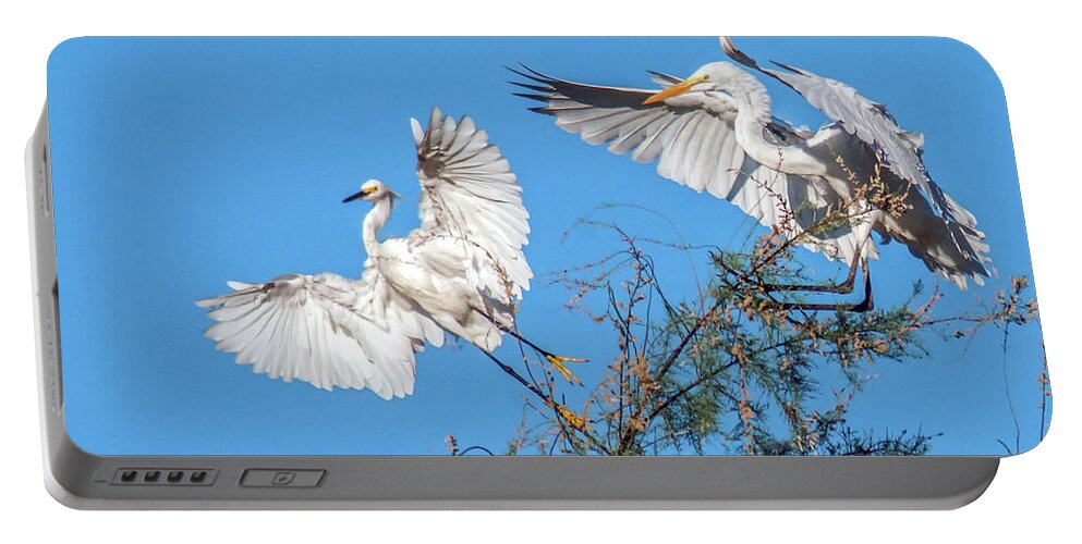 Snowy Portable Battery Charger featuring the photograph Egrets 4460-090314-2cr GWR by Tam Ryan
