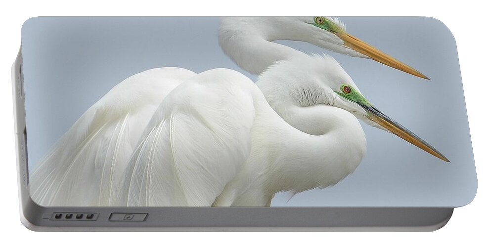 Great Egrets Portable Battery Charger featuring the photograph Egrets In Love by Fraida Gutovich