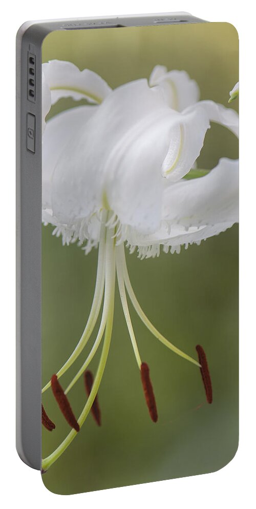 Flower Portable Battery Charger featuring the painting Elegance by Jean-Pierre Ducondi