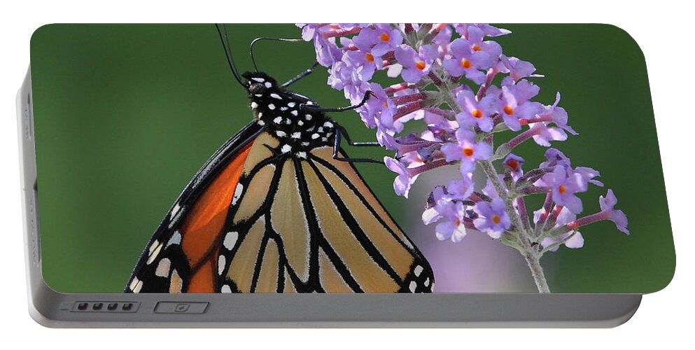  Monarch Butterfly Portable Battery Charger featuring the photograph Elegant Monarch by Doris Potter