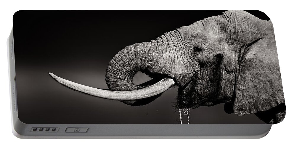 Elephant Portable Battery Charger featuring the photograph Elephant bull drinking water - duetone by Johan Swanepoel