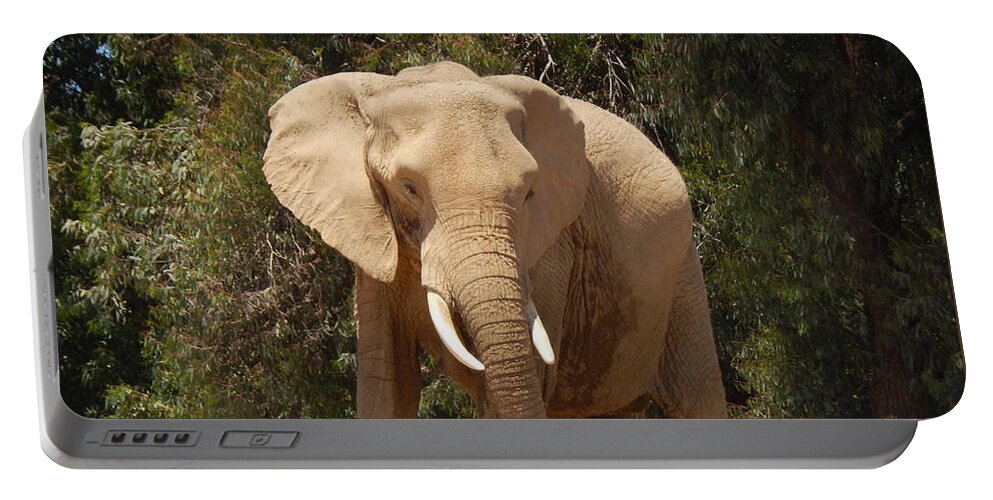 Photo Portable Battery Charger featuring the photograph Elephant by Chris Tarpening