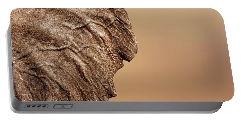 Texture Portable Battery Charger featuring the photograph Elephant ear close-up by Johan Swanepoel