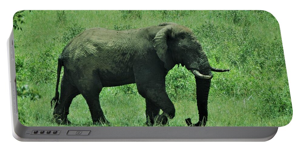 Elephant Portable Battery Charger featuring the photograph Elephant Walks by Vijay Sharon Govender