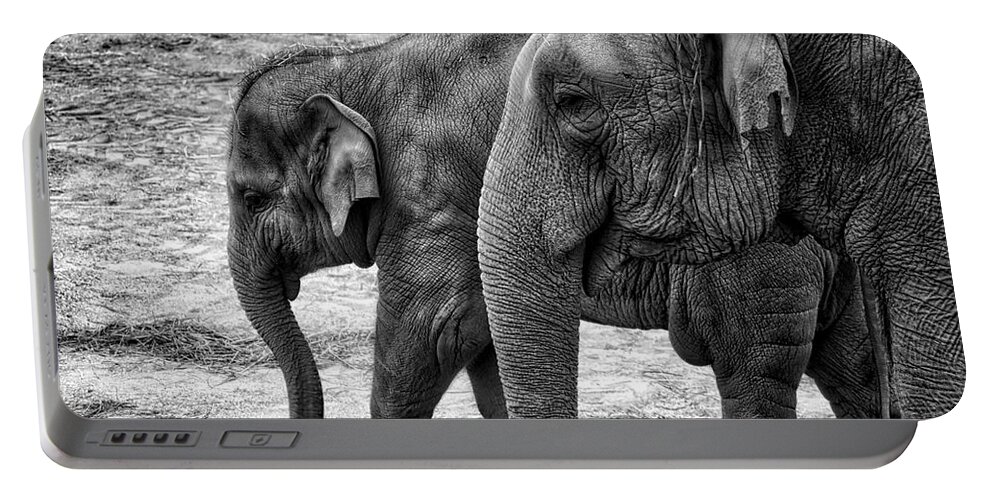 Animals Portable Battery Charger featuring the photograph Elephants BW by Ingrid Dendievel